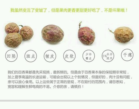 journal_insert_pic_320820565