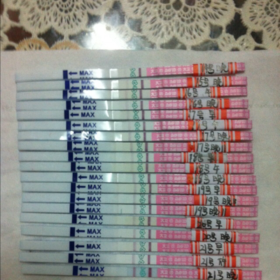 journal_insert_pic_321831389