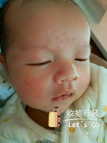 journal_insert_pic_321313316