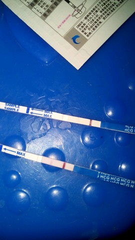 journal_insert_pic_321615419