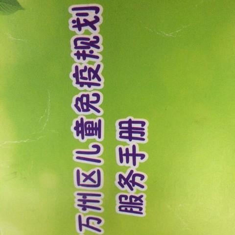 journal_insert_pic_321410581