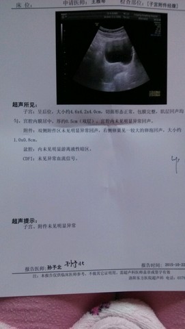 journal_insert_pic_322039976