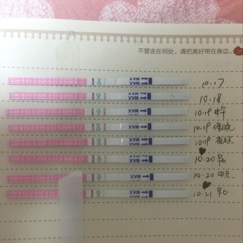 journal_insert_pic_323201013