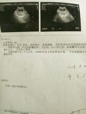 journal_insert_pic_322814642