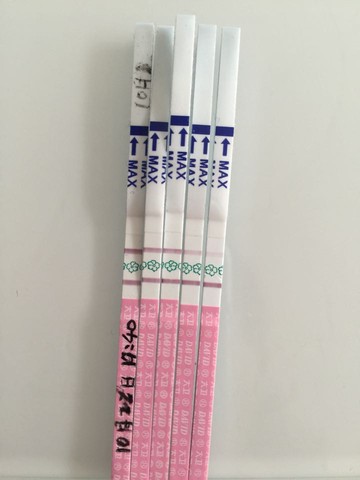journal_insert_pic_323452505