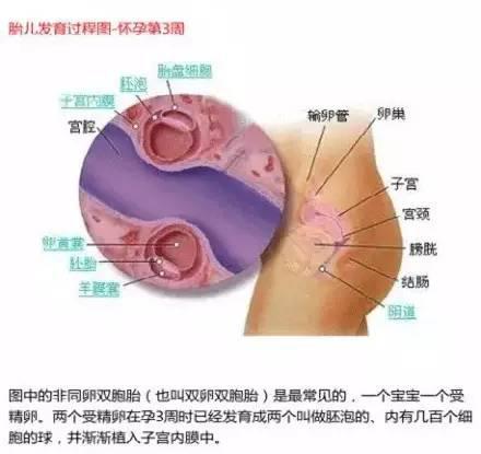 journal_insert_pic_325529199