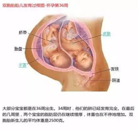 journal_insert_pic_325532591
