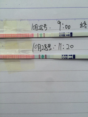 journal_insert_pic_326224481