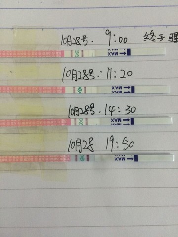 journal_insert_pic_326815429