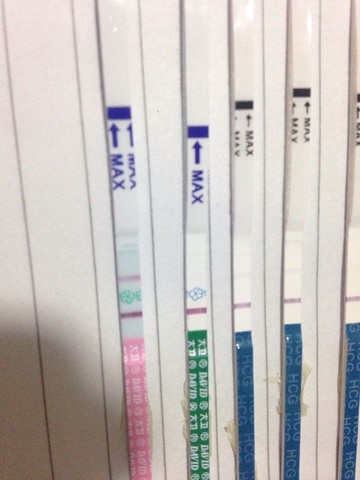 journal_insert_pic_328084245