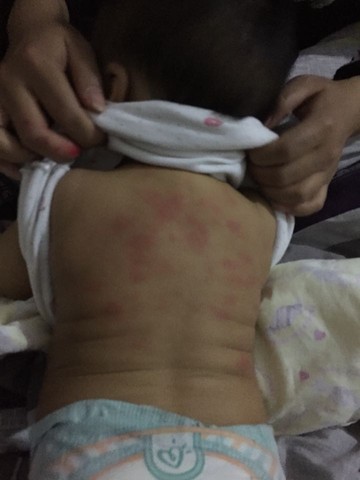 journal_insert_pic_328860228