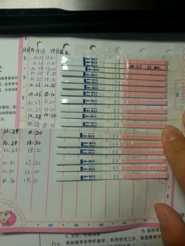 journal_insert_pic_328327296