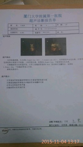 journal_insert_pic_331332992