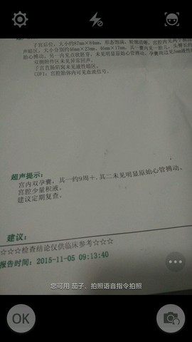 journal_insert_pic_332282305