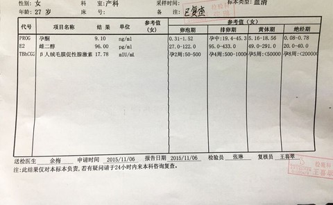 journal_insert_pic_333145756