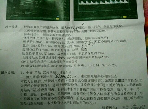 journal_insert_pic_332689492