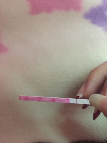 journal_insert_pic_332836338