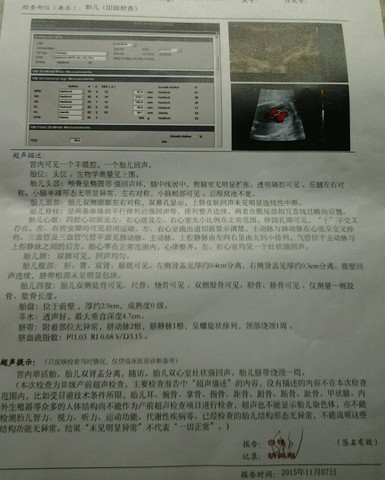 journal_insert_pic_333542174