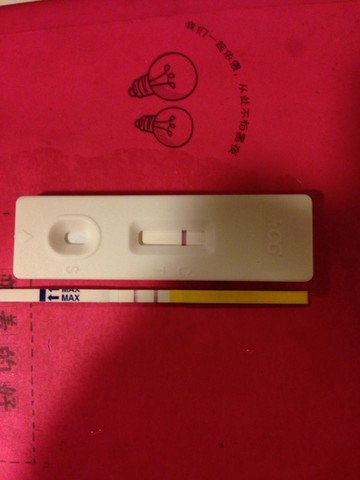journal_insert_pic_334614567