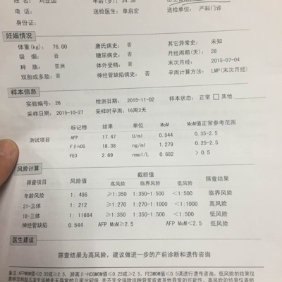 journal_insert_pic_335325381