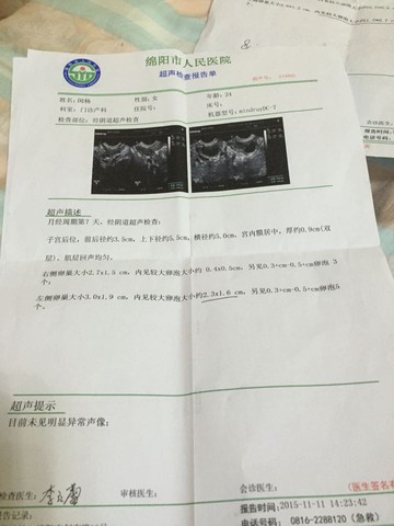 journal_insert_pic_336230546
