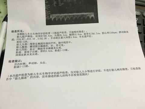 journal_insert_pic_335905146