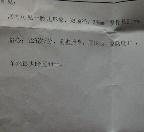 journal_insert_pic_337162130
