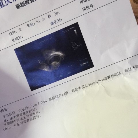 journal_insert_pic_337785219