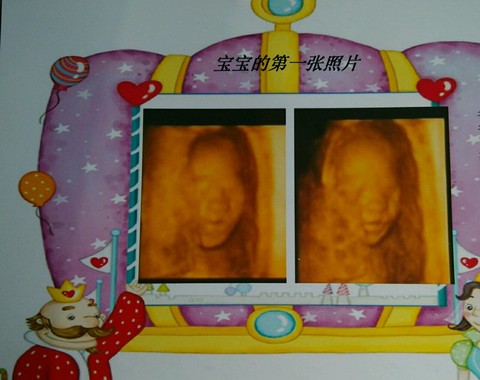journal_insert_pic_338167328