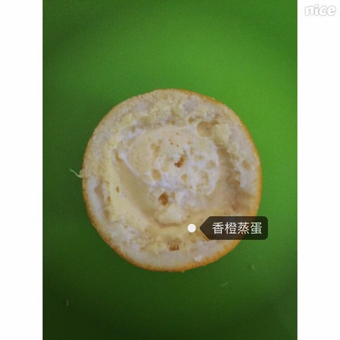 journal_insert_pic_337864221