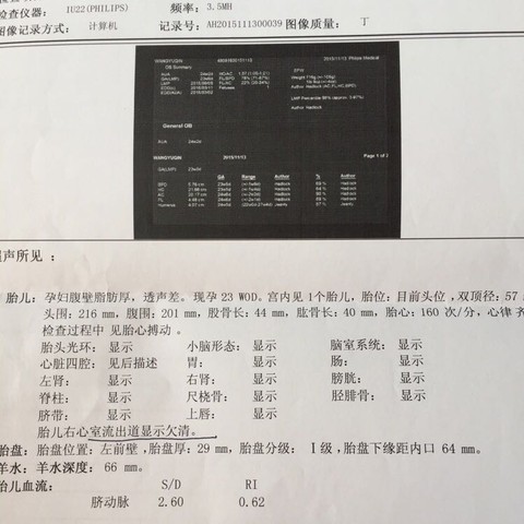 journal_insert_pic_338308142