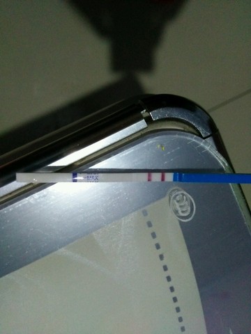 journal_insert_pic_339509184