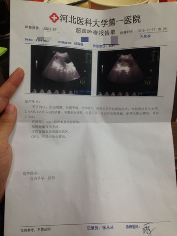 journal_insert_pic_339811297