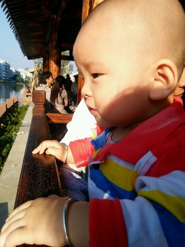journal_insert_pic_339686304