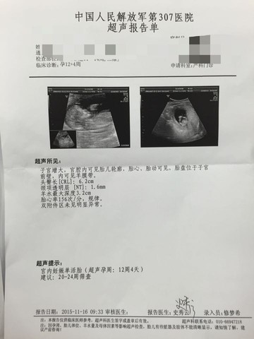 journal_insert_pic_340995501
