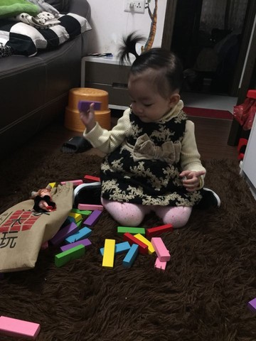 journal_insert_pic_342477861