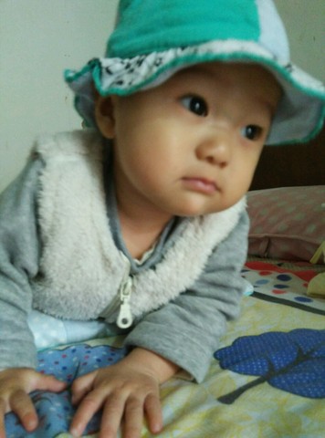 journal_insert_pic_345599809