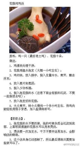journal_insert_pic_346351259