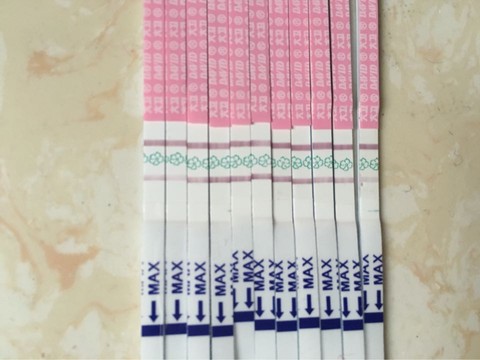 journal_insert_pic_346666232