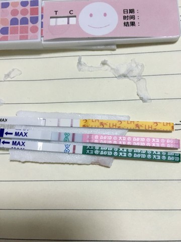 journal_insert_pic_346789399