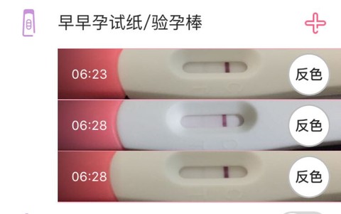 journal_insert_pic_348113076