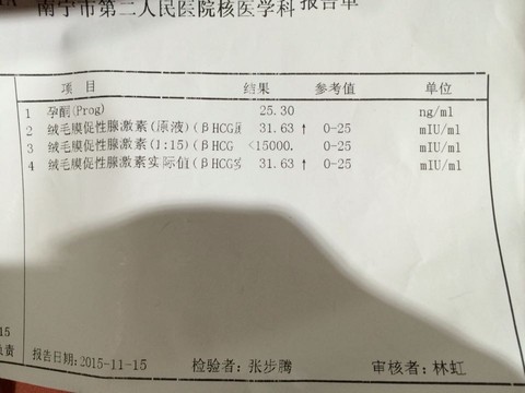 journal_insert_pic_351074384