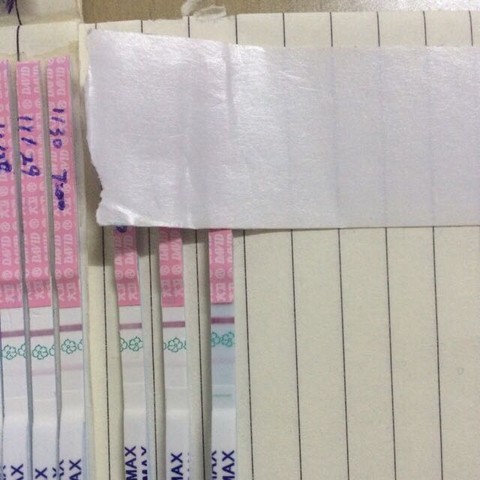journal_insert_pic_351776052