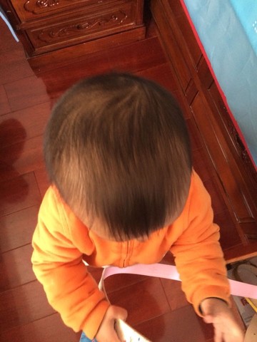 journal_insert_pic_351445968