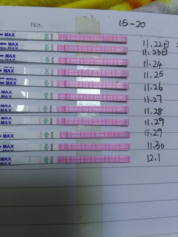 journal_insert_pic_351685913