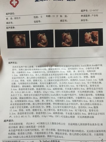 journal_insert_pic_352452360