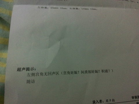 journal_insert_pic_352190902