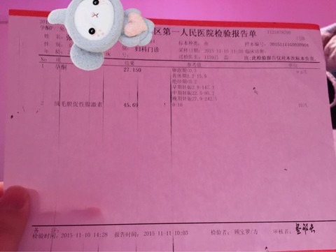 journal_insert_pic_353212478