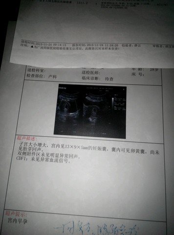journal_insert_pic_353534214