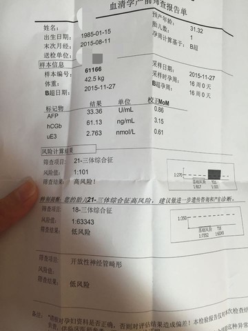 journal_insert_pic_353505690